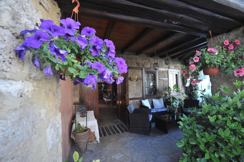 Varosi Guesthouse إذيسا المظهر الخارجي الصورة